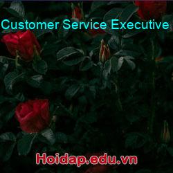 Customer Service Executive