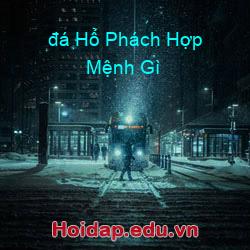 đá Hổ Phách Hợp Mệnh Gì