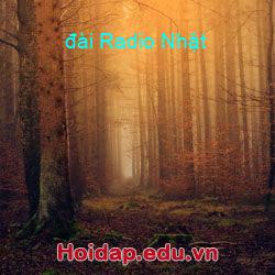 đài Radio Nhật