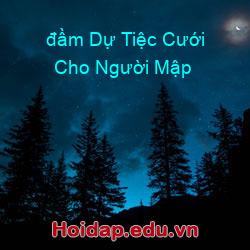 đầm Dự Tiệc Cưới Cho Người Mập