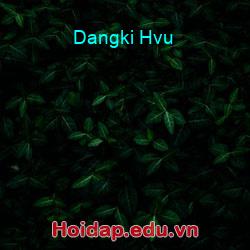 Dangki Hvu