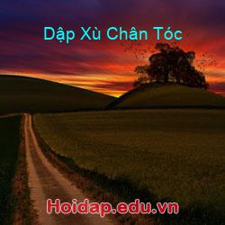 Dập Xù Chân Tóc