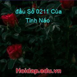 đầu Số 0211 Của Tỉnh Nào