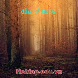 đầu Số 0255