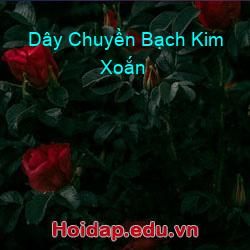 Dây Chuyền Bạch Kim Xoắn