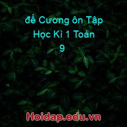 đề Cương ôn Tập Học Kì 1 Toán 9
