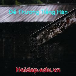 Dễ Thương Tiếng Hàn