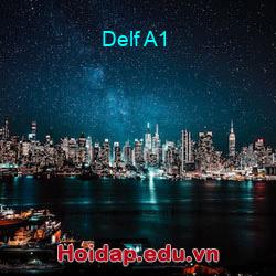Delf A1