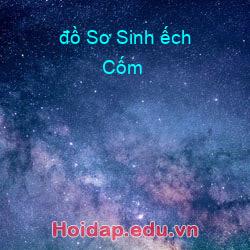 đồ Sơ Sinh ếch Cốm