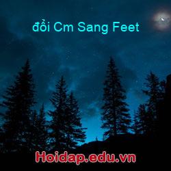 đổi Cm Sang Feet