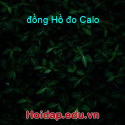 đồng Hồ đo Calo