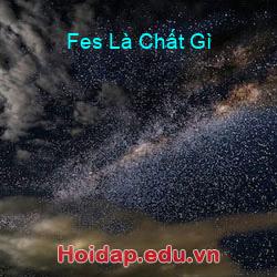 Fes Là Chất Gì