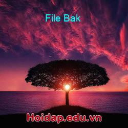 File Bak