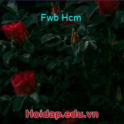 Fwb Hcm