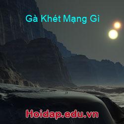 Gà Khét Mạng Gì