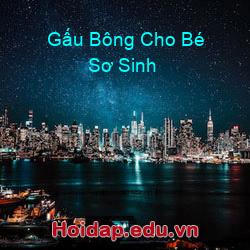 Gấu Bông Cho Bé Sơ Sinh