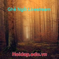 Ghế Ngồi Livestream
