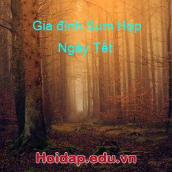 Gia đình Sum Họp Ngày Tết