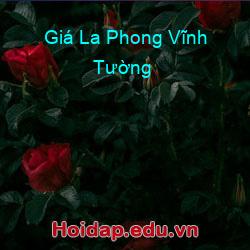 Giá La Phong Vĩnh Tường