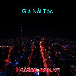 Giá Nối Tóc