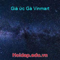 Giá ức Gà Vinmart