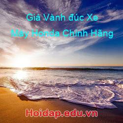 Giá Vành đúc Xe Máy Honda Chính Hãng