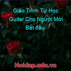 Giáo Trình Tự Học Guitar Cho Người Mới Bắt đầu