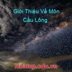 Giới Thiệu Về Môn Cầu Lông
