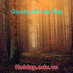 Giường Gỗ Lắp Ráp