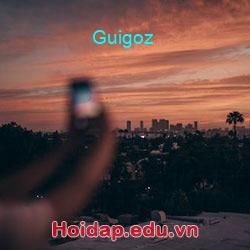 Guigoz