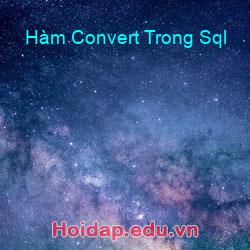 Hàm Convert Trong Sql
