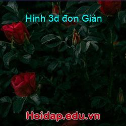 Hình 3d đơn Giản