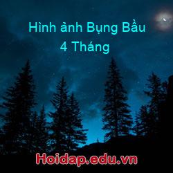 Hình ảnh Bụng Bầu 4 Tháng