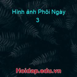 Hình ảnh Phôi Ngày 3
