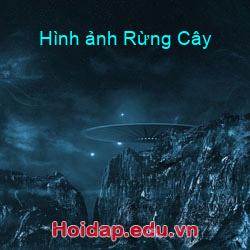 Hình ảnh Rừng Cây