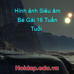Hình ảnh Siêu âm Bé Gái 16 Tuần Tuổi
