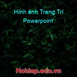 Hình ảnh Trang Trí Powerpoint