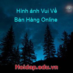 Hình ảnh Vui Về Bán Hàng Online