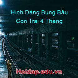 Hình Dáng Bụng Bầu Con Trai 4 Tháng