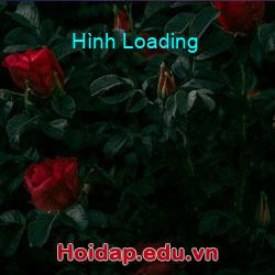 Hình Loading