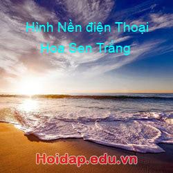 Hình Nền điện Thoại Hoa Sen Trắng