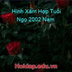 Hình Xăm Hợp Tuổi Ngọ 2002 Nam