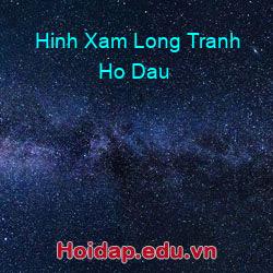Hinh Xam Long Tranh Ho Dau