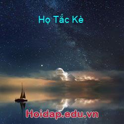 Họ Tắc Kè