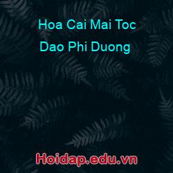 Hoa Cai Mai Toc Dao Phi Duong