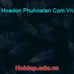 Hoadon Phuhoatan Com Vn