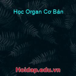 Học Organ Cơ Bản