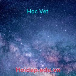Học Vẹt