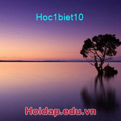 Hoc1biet10