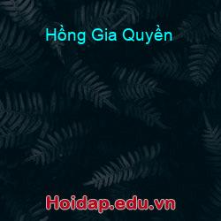 Hồng Gia Quyền